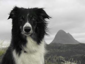 IMG 0795
