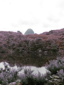 IMG 0916